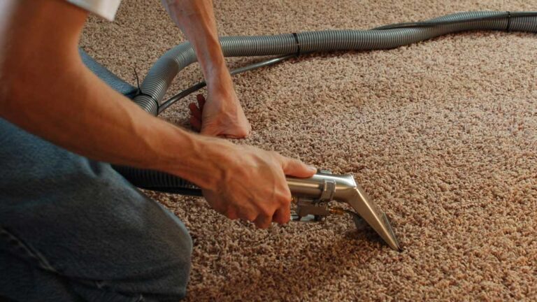 The Ultimate Guide to Carpet Stain Removal in Sydney